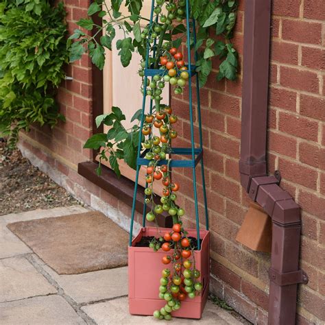 Garden Grow Self Watering 4 Tier Tomato Tower Telegraph Shop