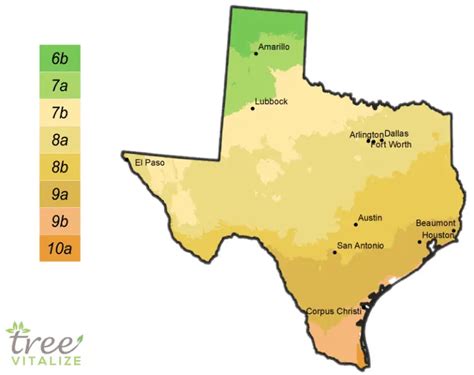 Planting Zones Texas Hardiness Gardening Climate Zone