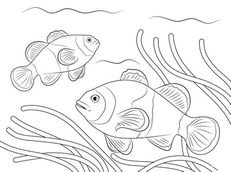 Lusso Clown Fish Disegni Per Bambini Da Colorare Migliori Pagine Da