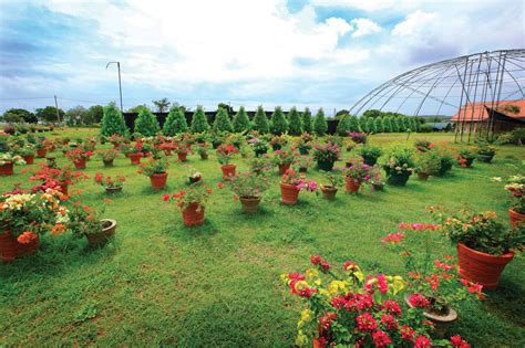 Mirijjawila Botanical Garden Things To Do In Hambantota Sri Lanka