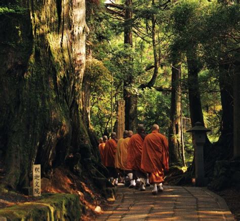 Learning The Way Of The Monks In Wakayama Prefecture Gaijinpot