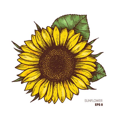 Lista 90 Foto Dibujos De Girasoles En La Pared Mirada Tensa