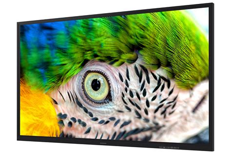 New Samsung 85 Inch Interactive Display Designed To Accelerate