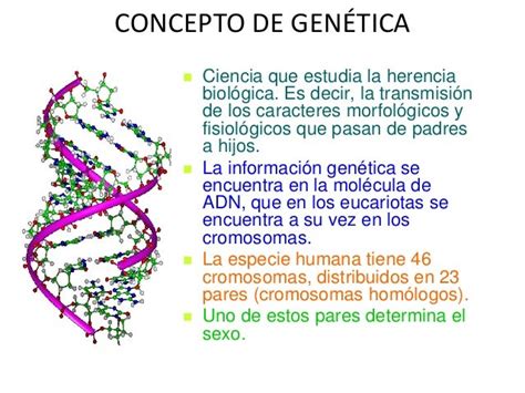 Genetica Pawer