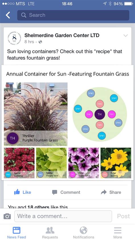 We did not find results for: Sun loving flower container "recipe" | Container flowers ...