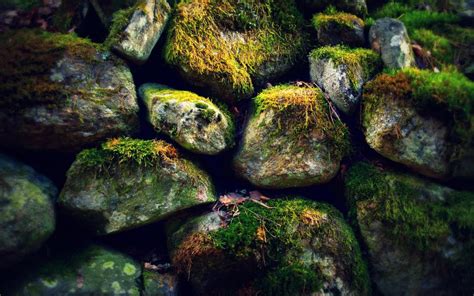 Rocks Stones Moss Hd Wallpaper Nature And Landscape Wallpaper Better