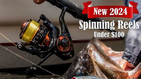 Top 5 Best Spinning Reels Under 100 Review 2024 Buying Guide YouTube