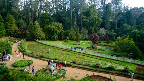 Ooty Government Botanical Garden Timings Contact Number Route Map