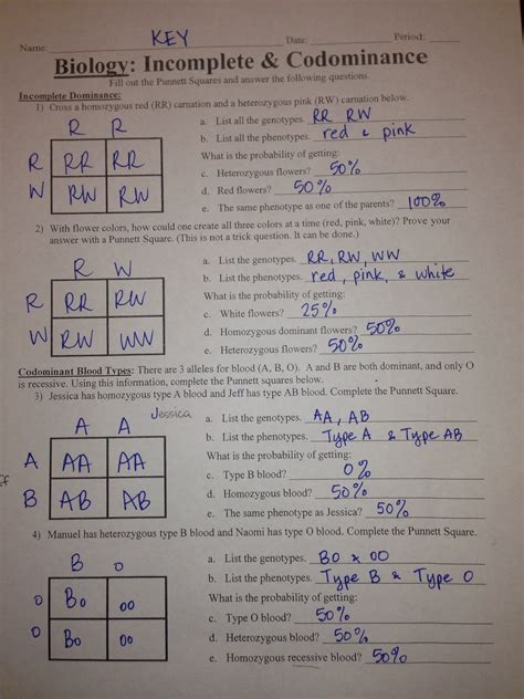 punnett square worksheet answers key biology