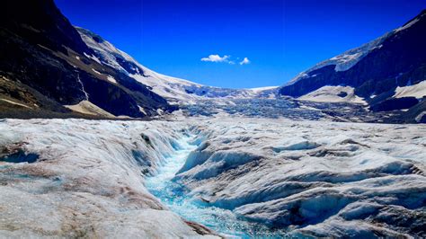 Ледник Атабаска описание фото отзывы Planet Of Hotels