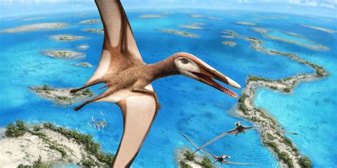 New Species Of Pterosaur That Lived 95 Million Years Ago During The Age Of The Dinosaurs Discovered