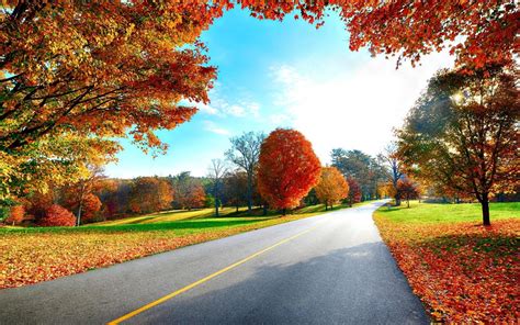 Download nature background stock photos. HD Landscapes Nature Trees Autumn Background Pictures ...