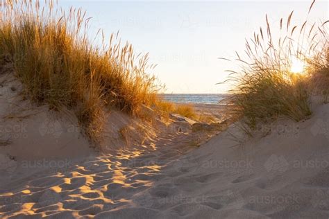 Image Of Looking Through Dune Grasses On Sand Dune To The Ocean