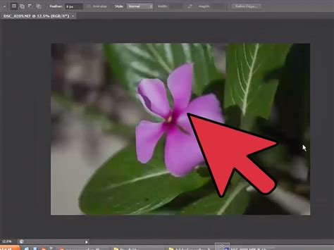 How To Open Nef Files In Photoshop 14 Steps With Pictures