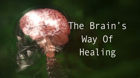 The Brains Way Of Healing 90th Parallel