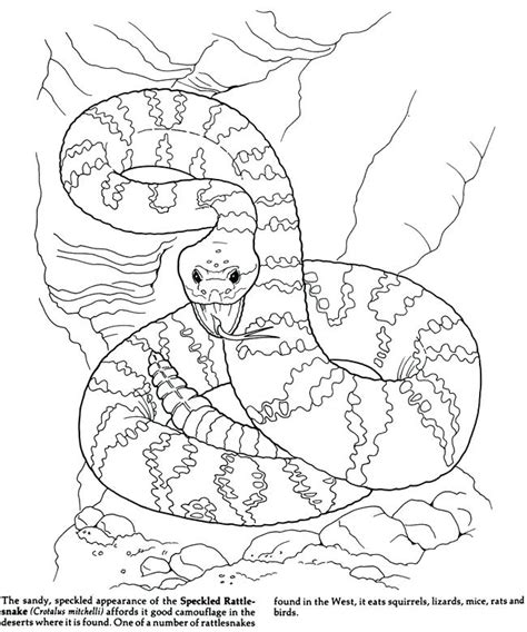 Push pack to pdf button and download pdf coloring book for free. Saguaro Drawing at GetDrawings | Free download