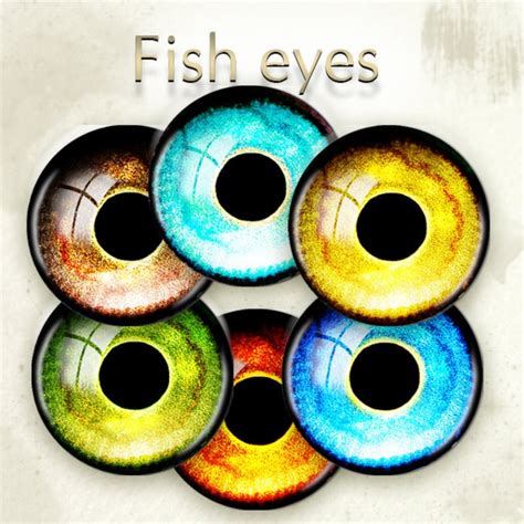 Fish Printable Eyes Realistic Irides Golden Eye Digital Etsy