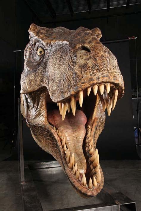 Full scale male T Rex head display from Jurassic Park Görüntüler ile