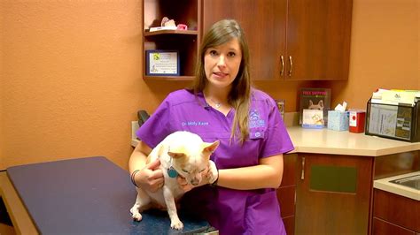 Expert Veterinary Tv Episode 6 Toxicities Youtube
