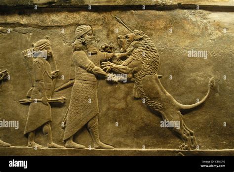 Assyrian Relief Of The Royal Lion Hunt Of King Ashurbanipal Seen At