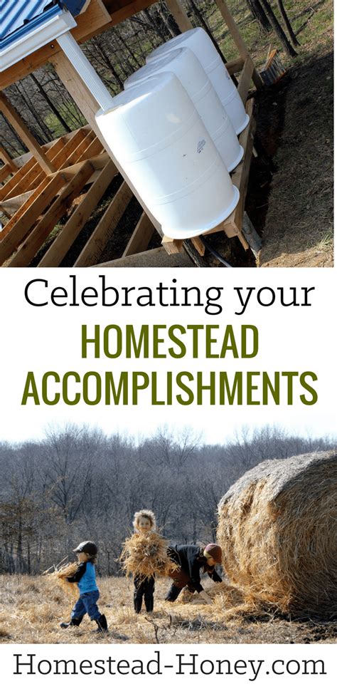 Celebrating Your Homestead Accomplishments Homestead Honey