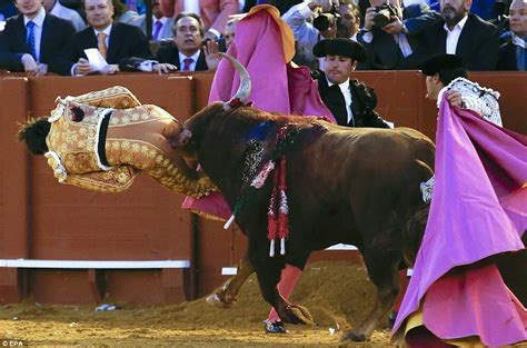 Shocking Moment Matador Is Gored In The Bum By Angry Bull Yet Survives The Scare Daily Mail Online