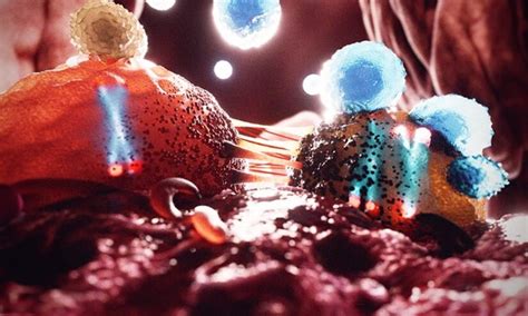 3가지 유전적 특성 종양의 정의 및 암 면역요법 반응