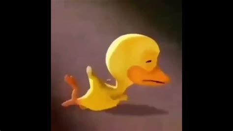 Duck Crying Youtube