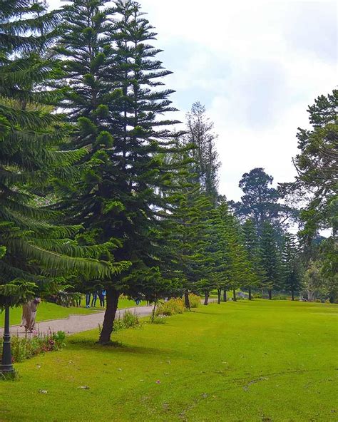 Victoria Park Attractions In Nuwara Eliya Love Sri Lanka