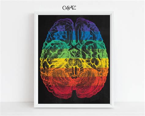 Brain Anatomy Printable Wall Art Rainbow Anatomy Art Brain Etsy