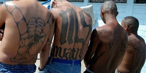 Nearly 2 Dozen Suspected Ms 13 Gang Members Arrested For Brutal Violence In New York City