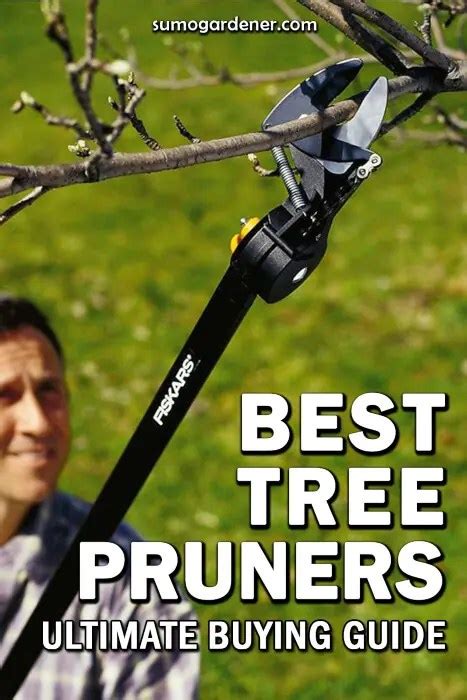 5 Best Tree Pruners For 2024 Reviews And Buying Guide