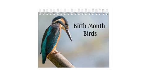 Birth Month Birds Calendar Zazzle