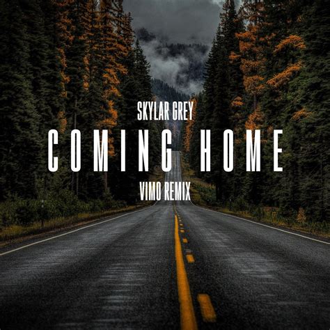Coming Home Vimo Remix By Skylar Grey Free Download On Hypeddit