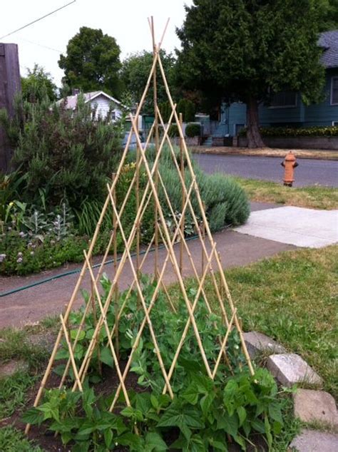 This garden trellis tutorial shows you how to easily build a wooden garden trellis with only one piece of material. Bamboo garden, Bamboo and Garden trellis on Pinterest