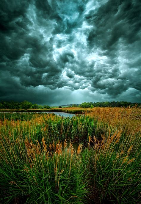Into The Wind Storms In Wisconsin 2014 By Phil Koch Usa Nature