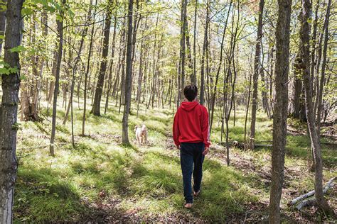 Teenage Boy Walking Through The Woods With His Dog On A Summer Day