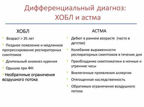 Бронхиальная астма и питание диета Бронхиальная астма. Хроническая обструктивная болезнь легких Бронхиальная астма. Хроническая обструктивная болезнь легких Бронхиальная астма и питание диета