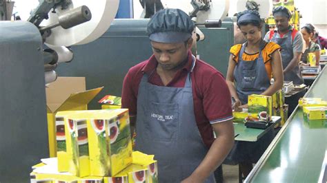 Venture Tea Pvt Ltd Edb Sri Lanka