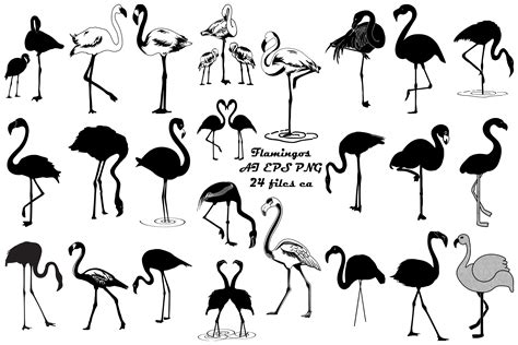 Flamingo Vector And Silhouettes Ai Eps Png 273263 Illustrations