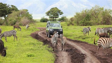 Safari Holidays Of Ghana Tour Packages Mandj Travel And Tours