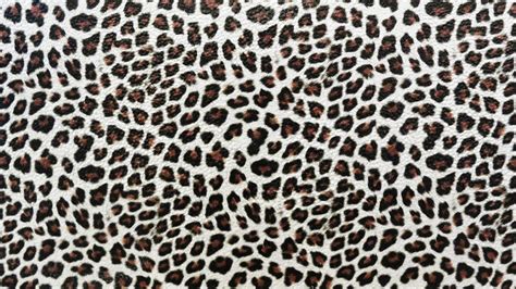 Leopard Texture Vampstock Ap By Vampstock On Deviantart