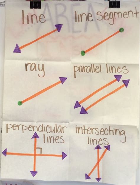 Types Of Lines Math Classroom Mathematics Types Of Lines