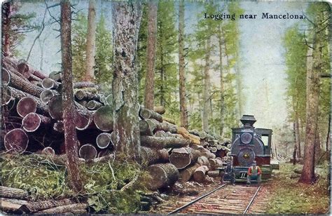 Just A Car Guy Logging Trains In Michigan 80 Years Ago