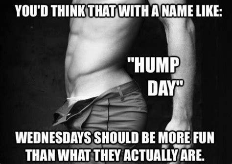 Funny Wednesday Quotes Hump Day Quotes Wednesday Hump Day Hump Day Humor Wednesday Humor
