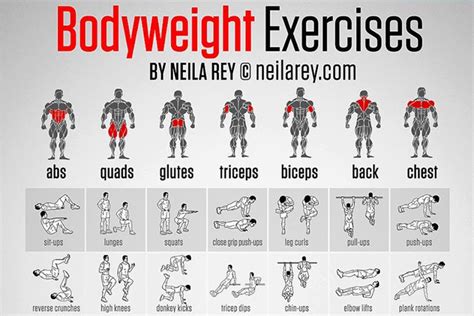 Infographic Body Weight Exercises Body Weight Workout Men Bodyweight Workout Chest Workout