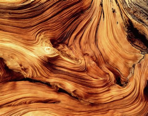 Weathered Pine Wood Grain Pattern Photograph By Panoramic Images Pixels