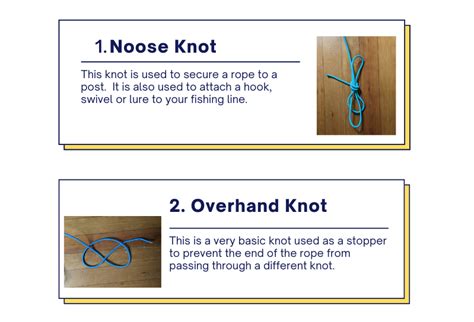 5 Survival Knots Everyone Should Know Cbknot