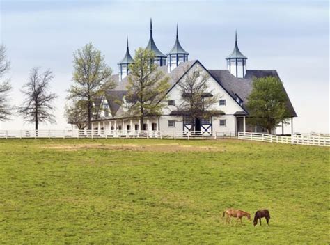 Lexington Kentucky Is Home To Over 400 Horse Farms And Has Become