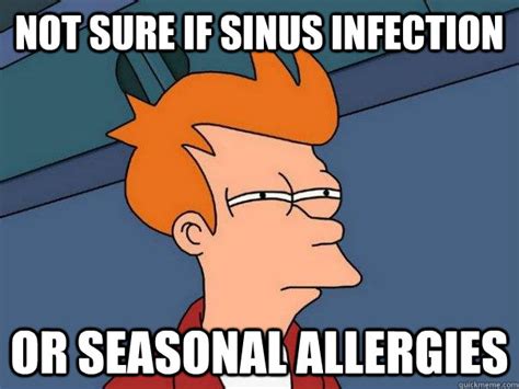 Not Sure If Sinus Infection Or Seasonal Allergies Futurama Fry Quickmeme